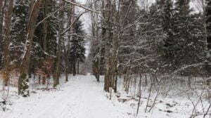 Zmainy w podatkach 2018 wyższe koszty twórców