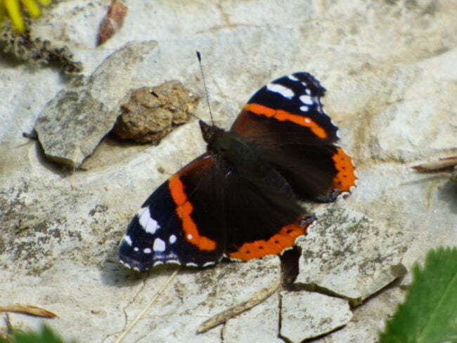 Podatki w pracy fotografa