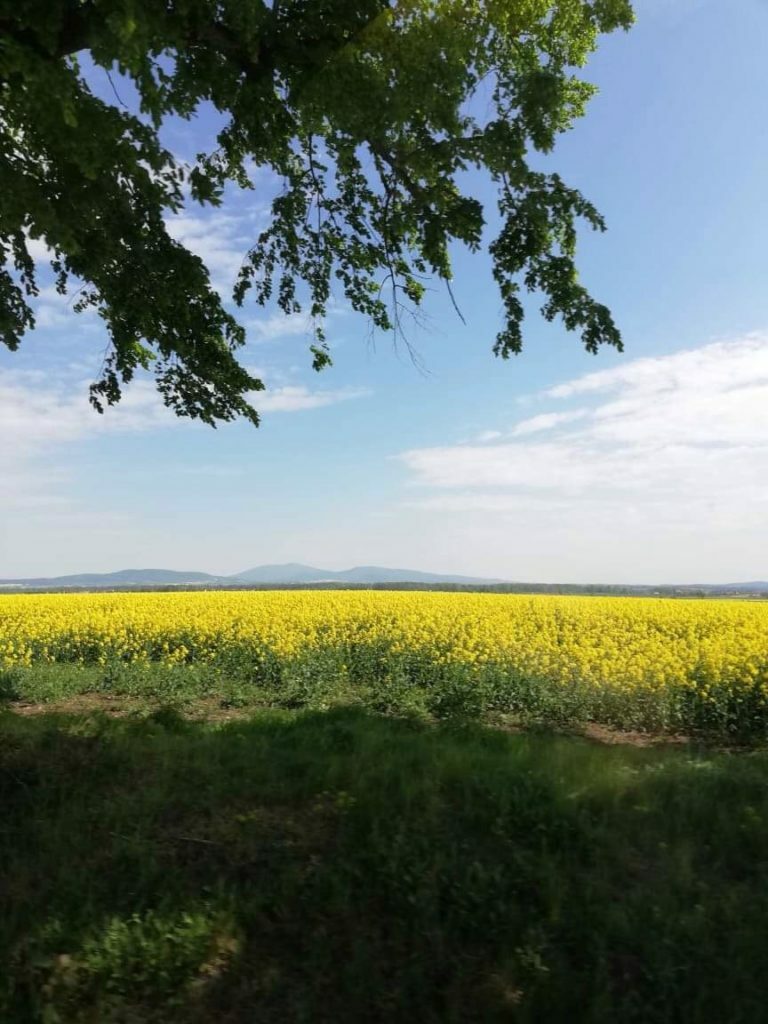 e-faktury w zamówieniach publicznych